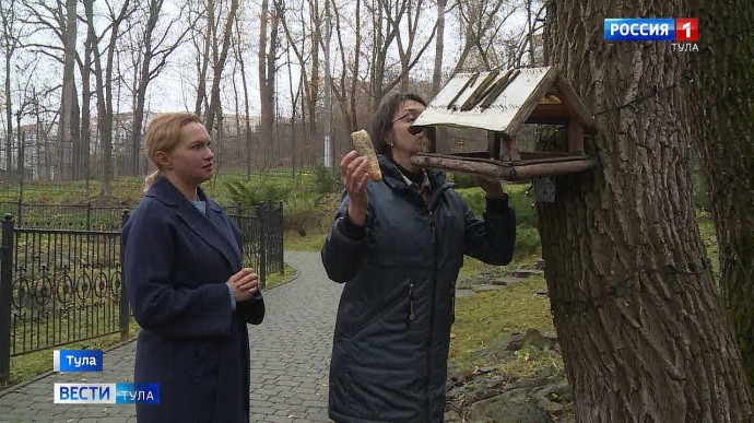 Это чистый яд! Орнитолог проверила, что кладут туляки в кормушки для птиц Это чистый яд! Орнитолог проверила, что кладут туляки в кормушки для птиц