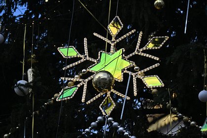 Раскрыта хитрая уловка мошенников перед Новым годом Раскрыта хитрая уловка мошенников перед Новым годом