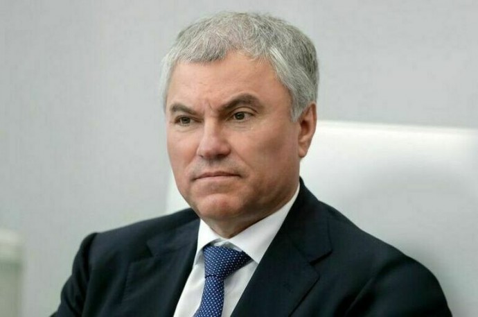 Володин: Принятые законы по борьбе с нелегальной миграцией заработали