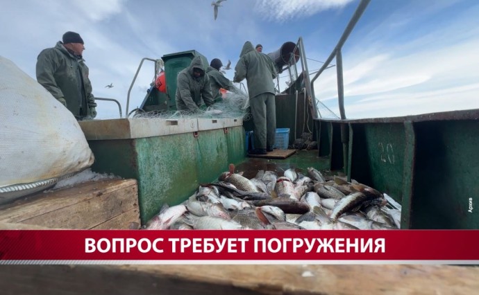 "Река нагревалась до +29 градусов": учёные обсудили причины провальной путины на Сахалине "Река нагревалась до +29 градусов": учёные обсудили причины провальной путины на Сахалине
