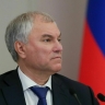 Володин раскритиковал решение о применении в школах только жидкого мыла