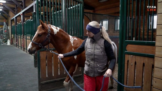 Как ухаживают за «символом года» в Щёкинской конюшне