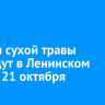 Отжиги сухой травы проведут в Ленинском округе 21 октября