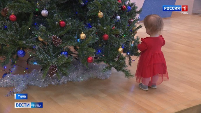 Стало известно, что туляки хотят найти под ёлкой в Новый год
