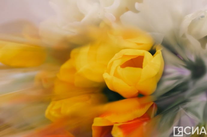 Бывшие, смартфоны и скупость: главные ошибки на первом свидании по мнению россиян Бывшие, смартфоны и скупость: главные ошибки на первом свидании по мнению россиян