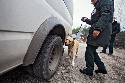 Россиянин попытался выехать за границу с книгой про Гитлера и нарвался на штраф Россиянин попытался выехать за границу с книгой про Гитлера и нарвался на штраф
