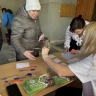 Рассадная пора – очей очарование