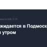 Туман ожидается в Подмосковье ночью и утром