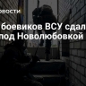 Семь боевиков ВСУ сдались в плен под Новолюбовкой