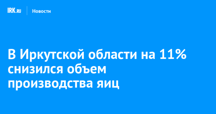 В Иркутской области на 11% снизился объем производства яиц