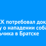 Глава СК потребовал доклад по делу о нападении собак на мальчика в Братске