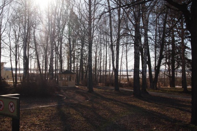 Метеорологи рассказали, что в Пермском крае продолжится период аномально теплой погоды