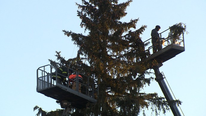 Пушистая красавица, рост 30 метров, старше 120 лет: как искали и доставляли главную ель Петербурга Пушистая красавица, рост 30 метров, старше 120 лет: как искали и доставляли главную ель Петербурга