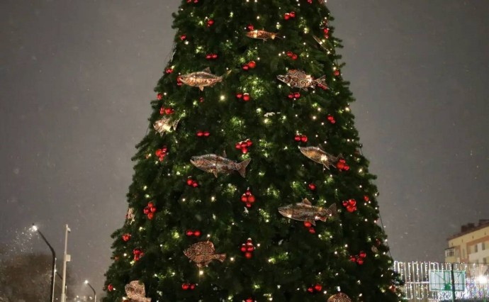 Новогодняя ёлка с рыбами и пейзажами Сахалина появилась на набережной в Корсакове