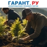 Неверный учет расходов на озеленение придорожной полосы может грозить штрафом