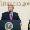 «Очень плохое будущее»: Трамп выдвинул НАТО ультиматум из-за провала в Ормузском проливе