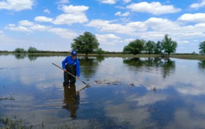 Рост цен, большая вода, Астрахань прирастает этажами и другие резонансные новости 24 апреля, которые вы могли пропустить