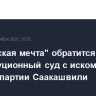 "Грузинская мечта" обратится в Конституционный суд с иском о запрете партии Саакашвили