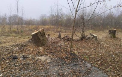 В Курске нашли недоработки в содержании парка «Боева дача»