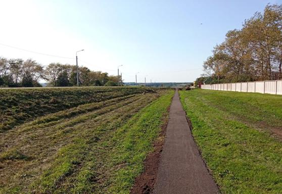 У автодороги Богородицк-Товарковский-Куркино появилась пешеходная дорожка с освещение