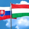 Венгрия и Словакия решили вместе выступить против плана ЕК по российскому газу