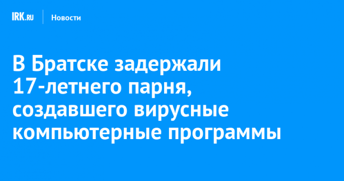 В Братске задержали 17-летнего парня, создавшего вирусные компьютерные программы