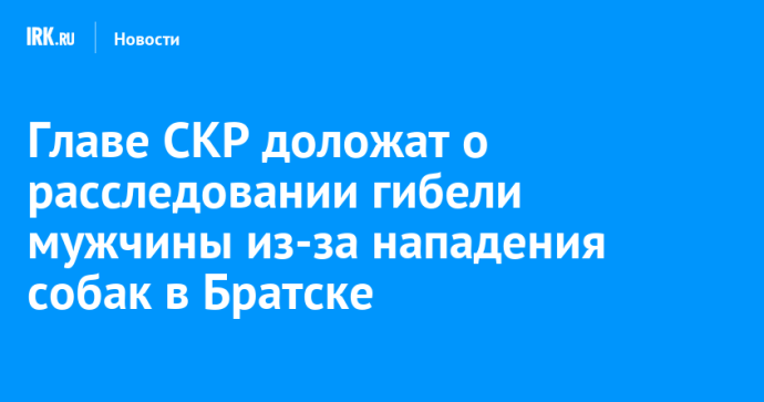 Главе СКР доложат о расследовании гибели мужчины из-за нападения собак в Братске Главе СКР доложат о расследовании гибели мужчины из-за нападения собак в Братске
