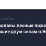 Локализованы лесные пожары, угрожавшие двум селам в Якутии