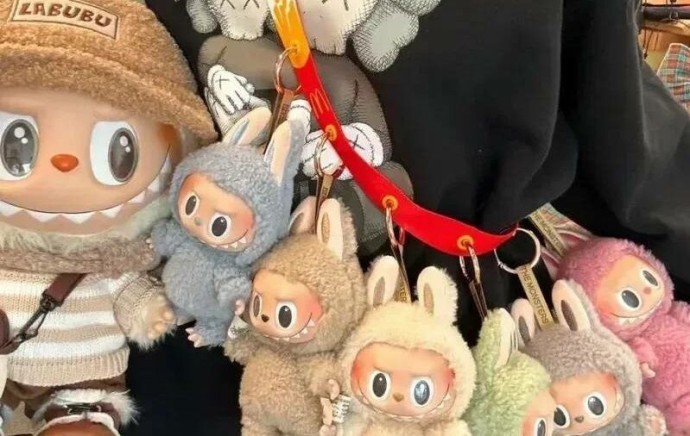Петербуржцев предупредили о мошеннической схеме с криптовалютой и Labubu