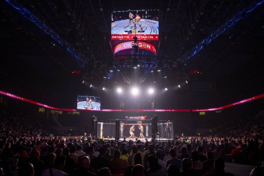 Царукян рассказал о тренировке с экс-чемпионом UFC