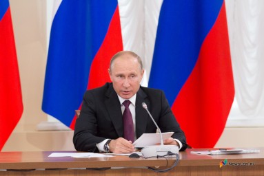 Правительство России готовит прямую линию с Путиным