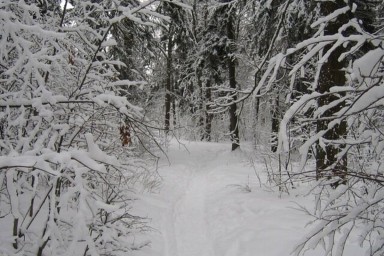 В Пермском крае пропала группа туристов