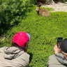 Амурчан приглашают поучаствовать в конкурсе видео-эссе «Мой Дальний»