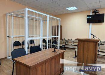 В Приамурье за «закладки» осудили студента колледжа