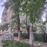 «По счастливой случайности никто не пострадал»: во дворе на Октябрьском проспекте от аварийного тополя отвалились суки