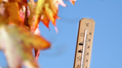Синоптик Ильин: в столичном регионе может потеплеть до +11 °С
