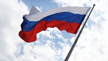 Эксперт назвал гордость главным чувством россиян по отношению к своей стране