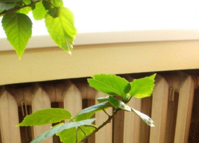 В Саранске тепло начало поступать в дома