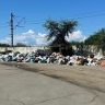 Горы мусора скопились вдоль дороги из аэропорта Владивостока к месту проведения ВЭФ...