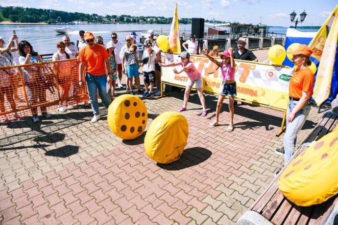 Лучший сыр выберут во время фестиваля в Костроме
