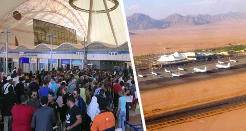 Бунт в Шарм-эль-Шейхе: российские туристы осадили египетский аэропорт, восстав против авиакомпании AlMasria