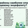 В Башкирии 42 района признаны опасными по клещевому энцефалиту
