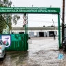 В Бурятии на утро 23 мая тушат 19 лесных пожаров