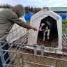 Новые агроклассы откроют в школах Ярославской области