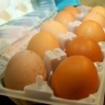 ФАС выдала предостережение из-за прогноза роста цен на яйца в СМИ