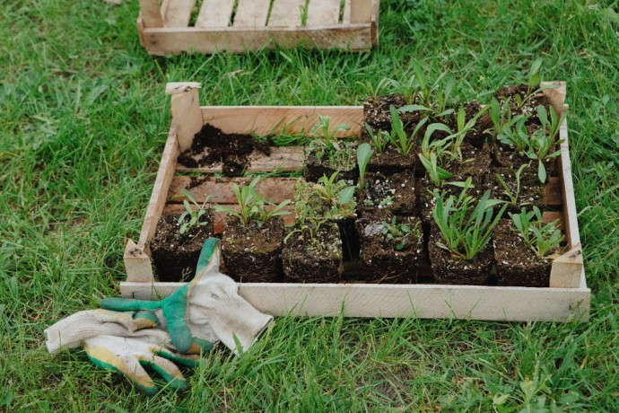 Комбинат Шалимова снова выиграл аукцион на ландшафтную организацию Заречного без конкуренции