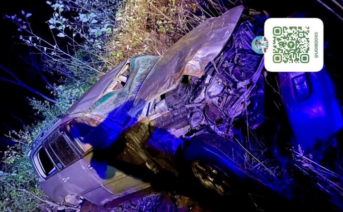 Автомобилистка на Курилах попыталась объехать животное и улетела в кювет