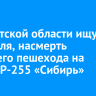 В Иркутской области ищут водителя, насмерть сбившего пешехода на трассе Р-255 «Сибирь»