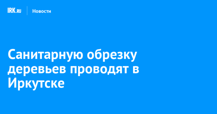 Санитарную обрезку деревьев проводят в Иркутске