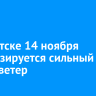 В Иркутске 14 ноября прогнозируется сильный снег и ветер